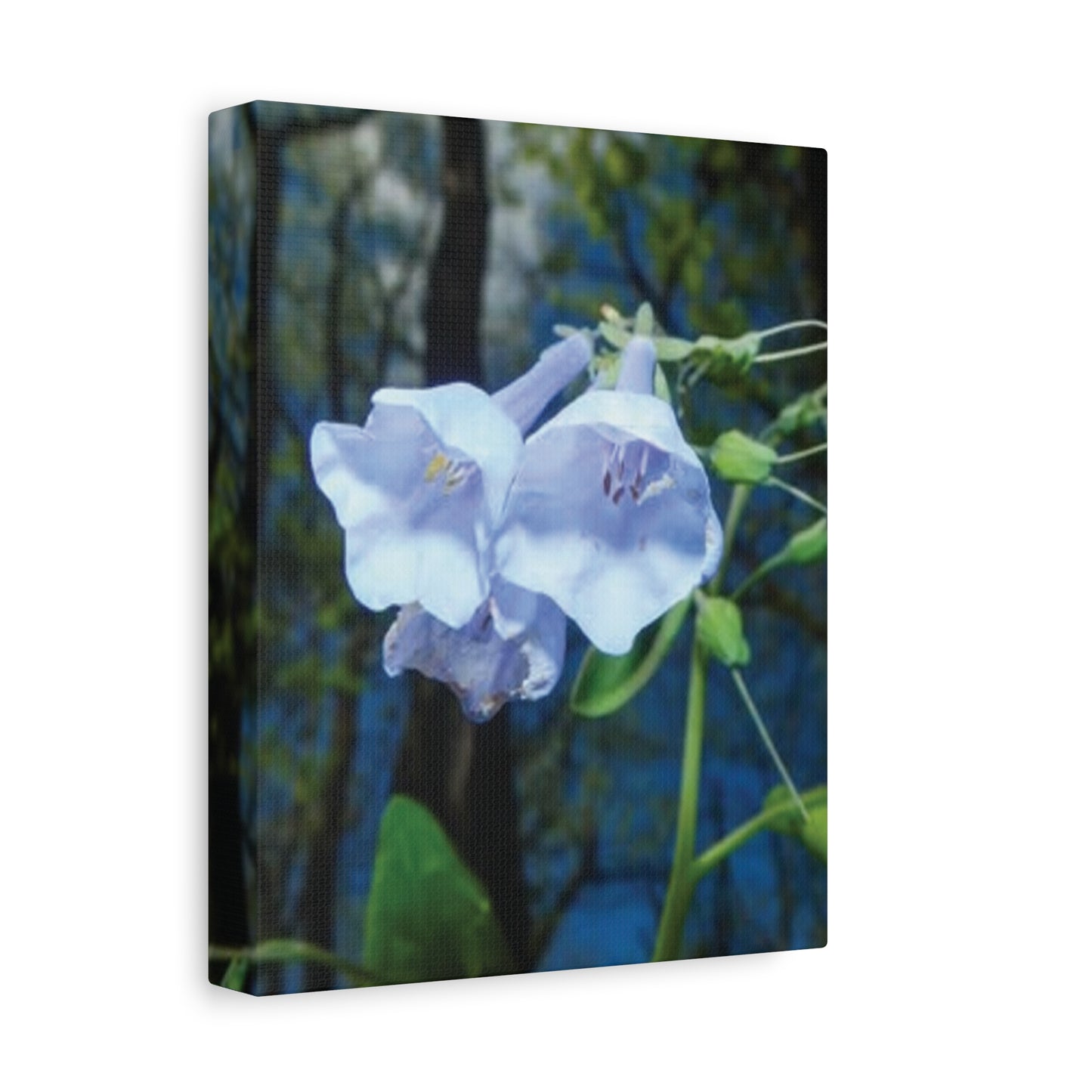 Floral Canvas Wall Art Print, Nature Decor, Gift for Flower Lovers, Home Decoration, Botanical Artwork