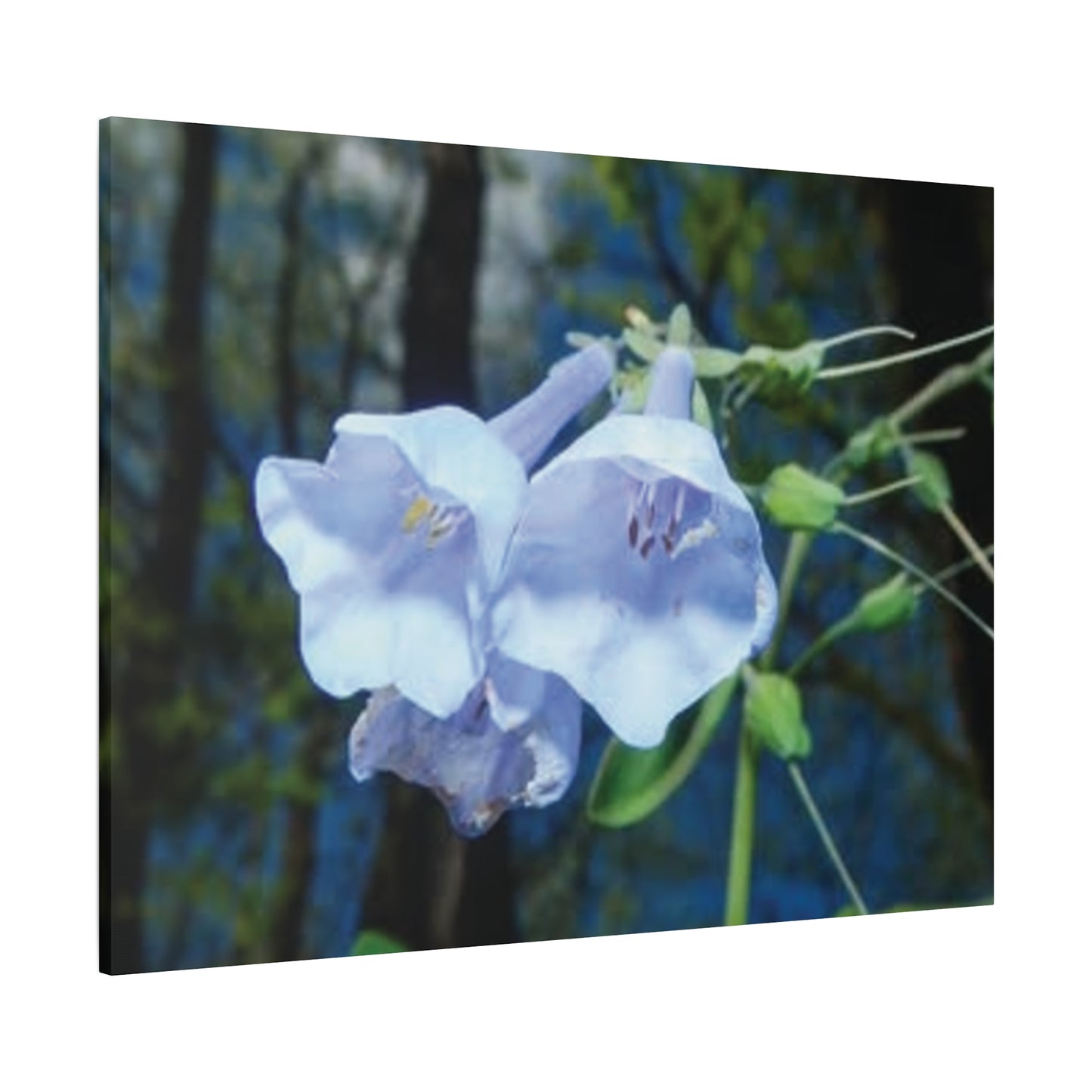 Floral Canvas Wall Art Print, Nature Decor, Gift for Flower Lovers, Home Decoration, Botanical Artwork