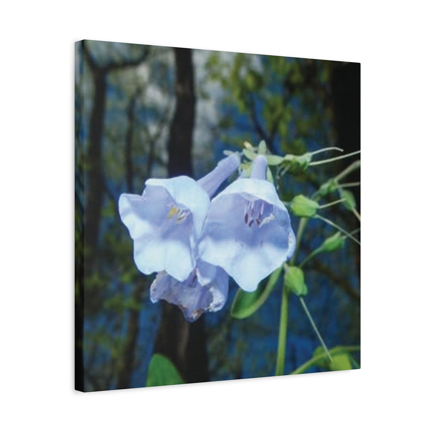 Floral Canvas Wall Art Print, Nature Decor, Gift for Flower Lovers, Home Decoration, Botanical Artwork