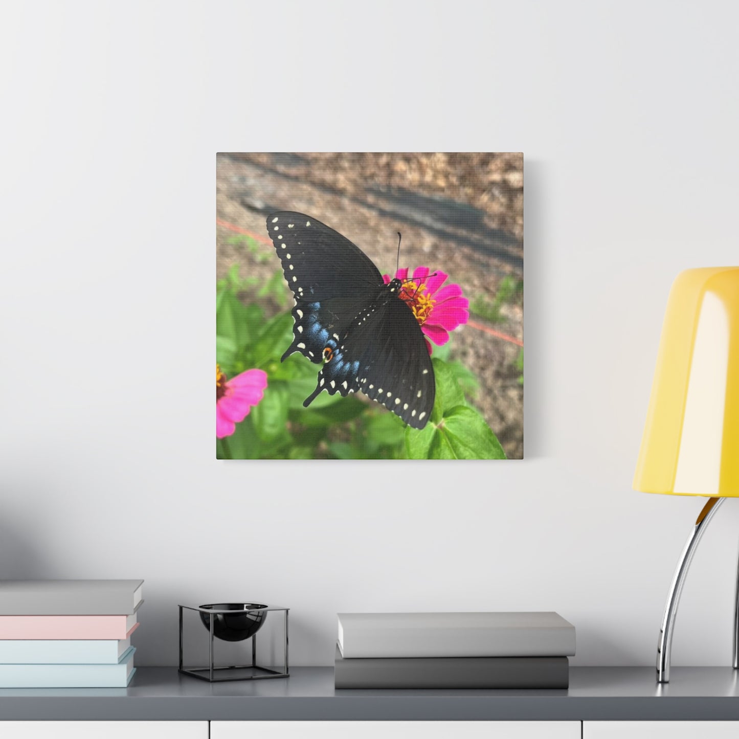 Black Butterfly Canvas Wall Art, Nature Decor, Botanical Print, Home Decor, Gift for Nature Lovers, Insect Photography