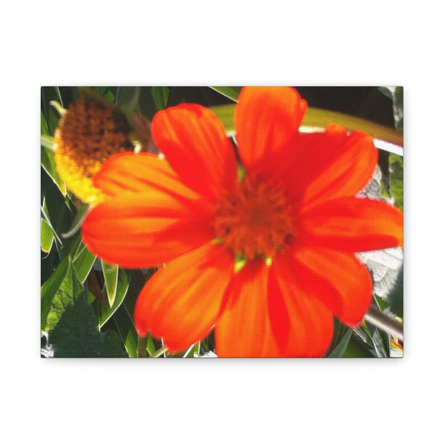 Vibrant Floral Canvas Art, Wall Decor, Gift for Garden Lovers, Bright Home Accent, Modern Art for Any Room