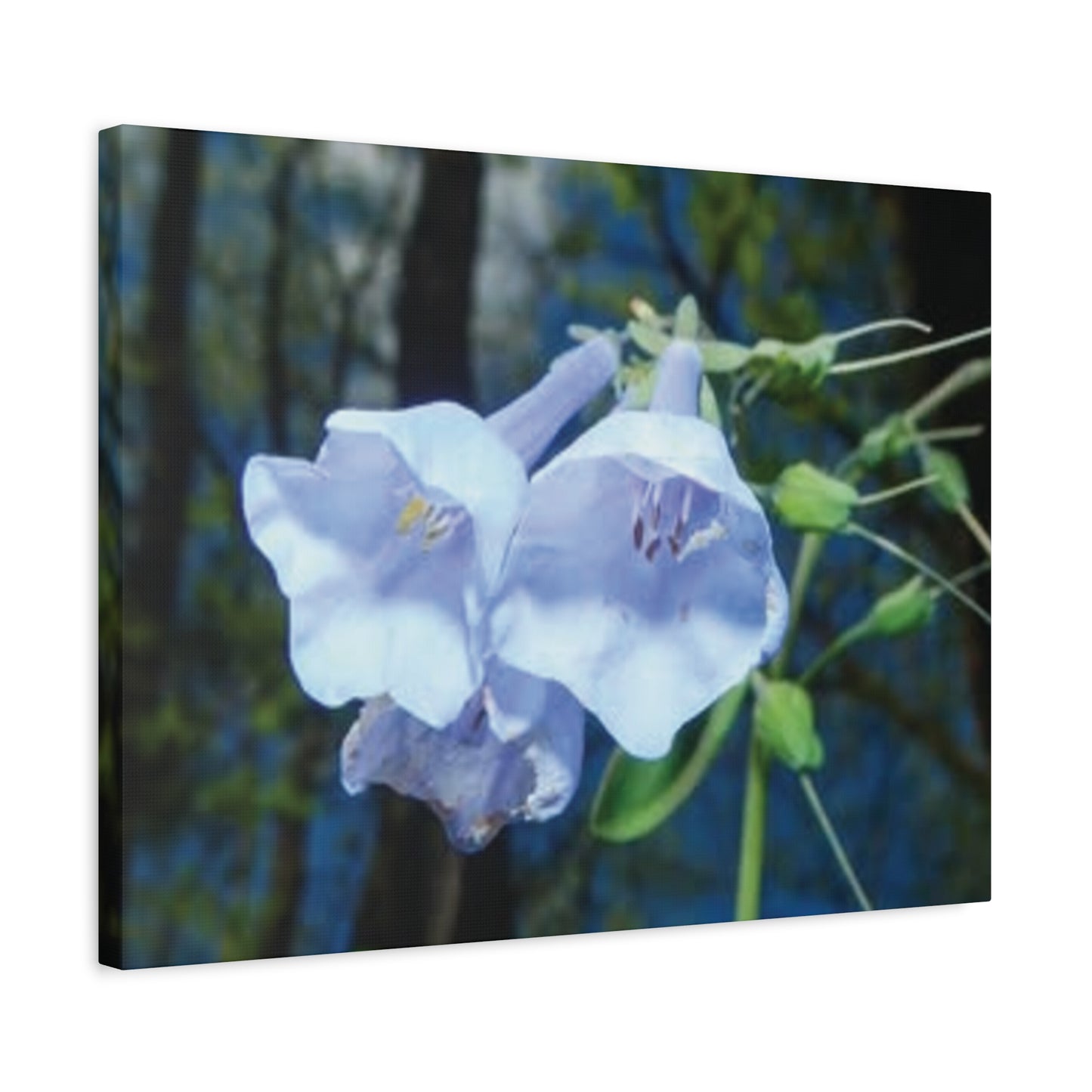 Floral Canvas Wall Art Print, Nature Decor, Gift for Flower Lovers, Home Decoration, Botanical Artwork