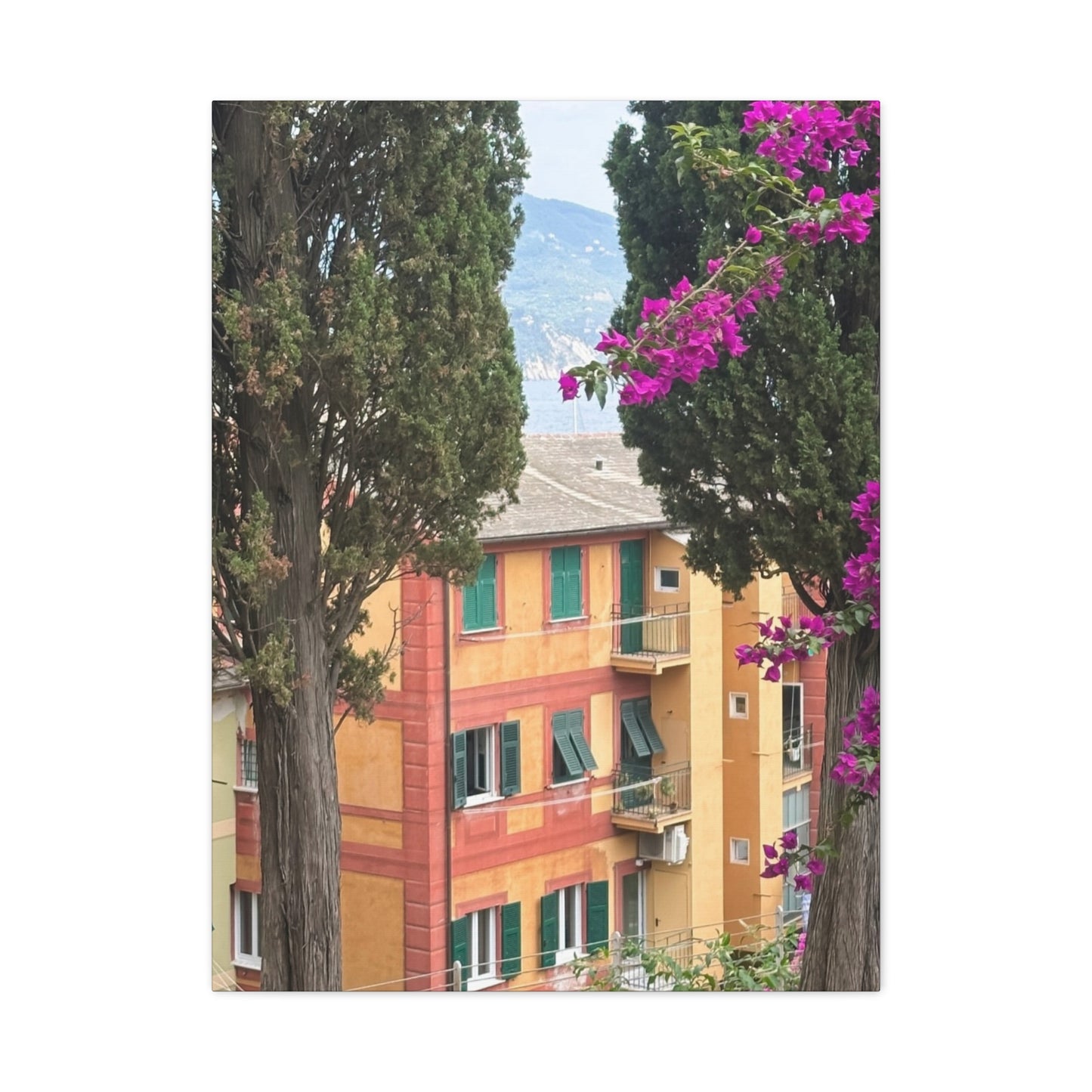 Italian Home and Country SideMatte Canvas Wall Art, Floral Home Decor, Artistic Stretched Canvas, Botanical Print, Modern Wall Decor