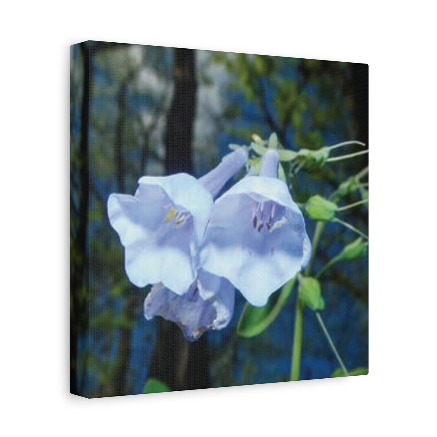 Floral Canvas Wall Art Print, Nature Decor, Gift for Flower Lovers, Home Decoration, Botanical Artwork