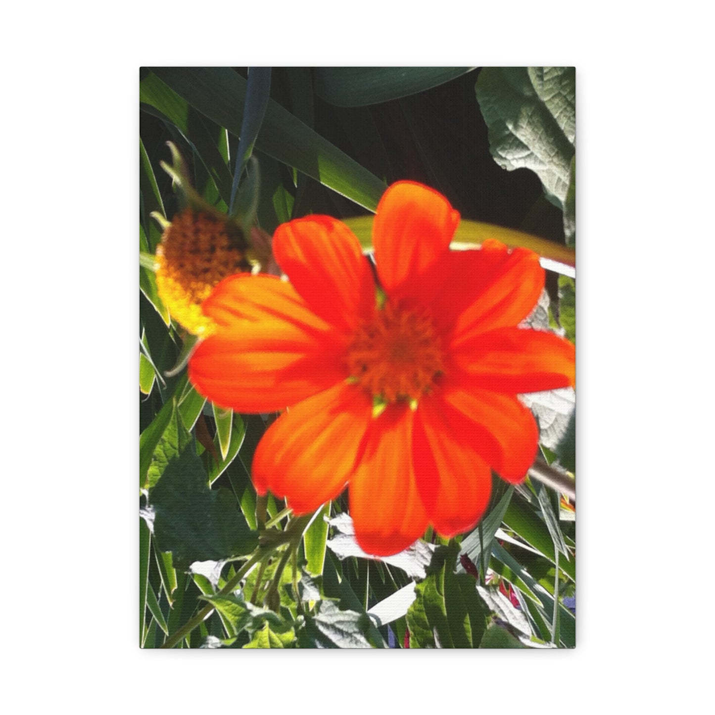 Vibrant Floral Canvas Art, Wall Decor, Gift for Garden Lovers, Bright Home Accent, Modern Art for Any Room