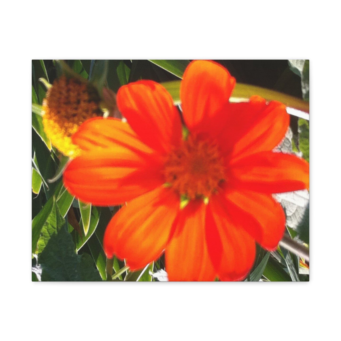 Vibrant Floral Canvas Art, Wall Decor, Gift for Garden Lovers, Bright Home Accent, Modern Art for Any Room