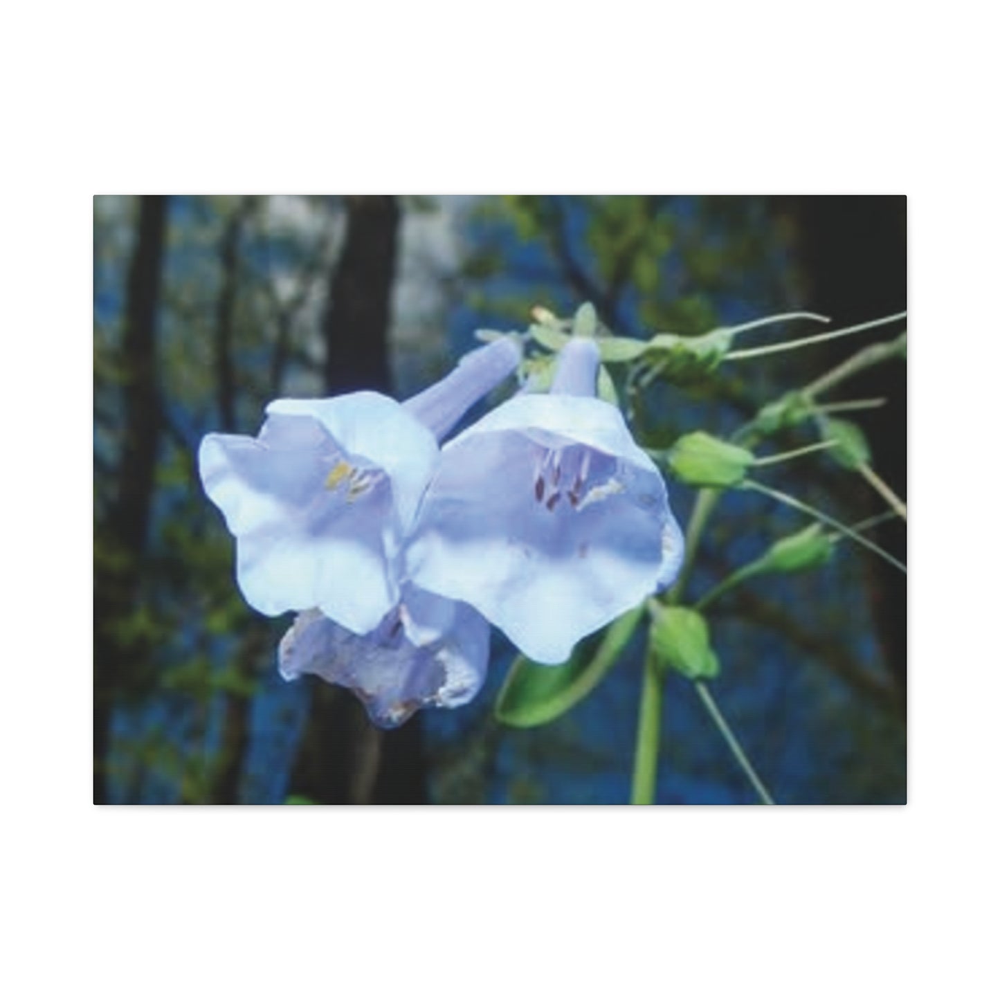 Floral Canvas Wall Art Print, Nature Decor, Gift for Flower Lovers, Home Decoration, Botanical Artwork