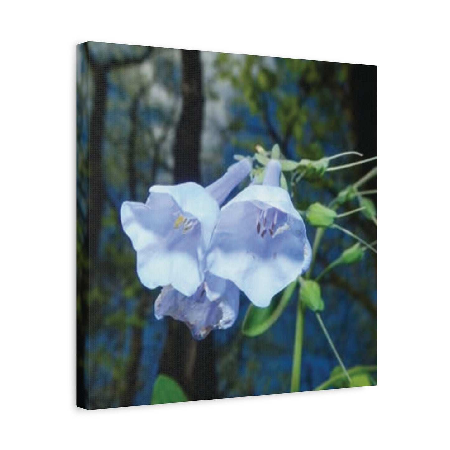 Floral Canvas Wall Art Print, Nature Decor, Gift for Flower Lovers, Home Decoration, Botanical Artwork
