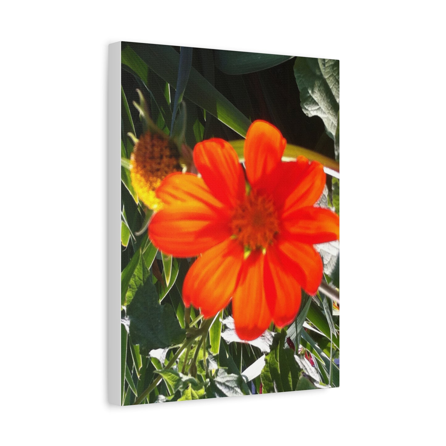 Vibrant Floral Canvas Art, Wall Decor, Gift for Garden Lovers, Bright Home Accent, Modern Art for Any Room