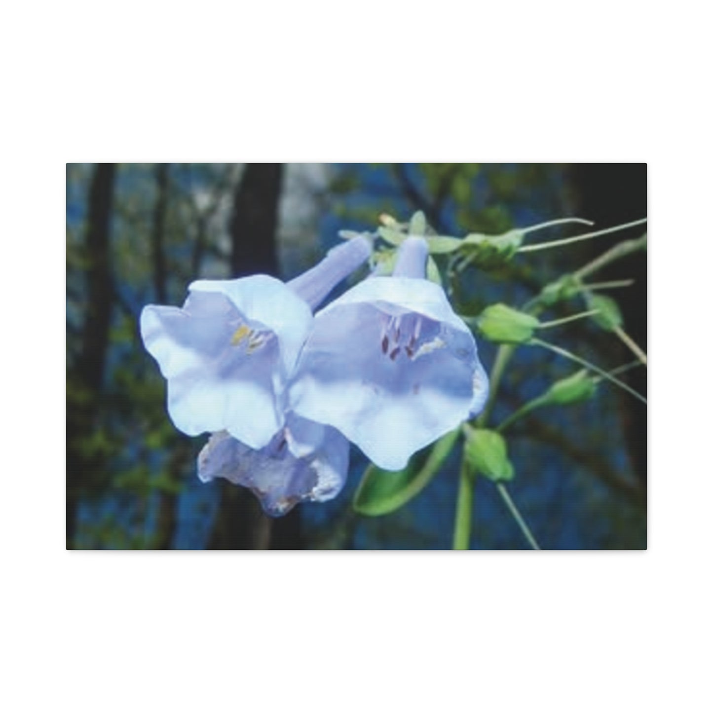 Floral Canvas Wall Art Print, Nature Decor, Gift for Flower Lovers, Home Decoration, Botanical Artwork