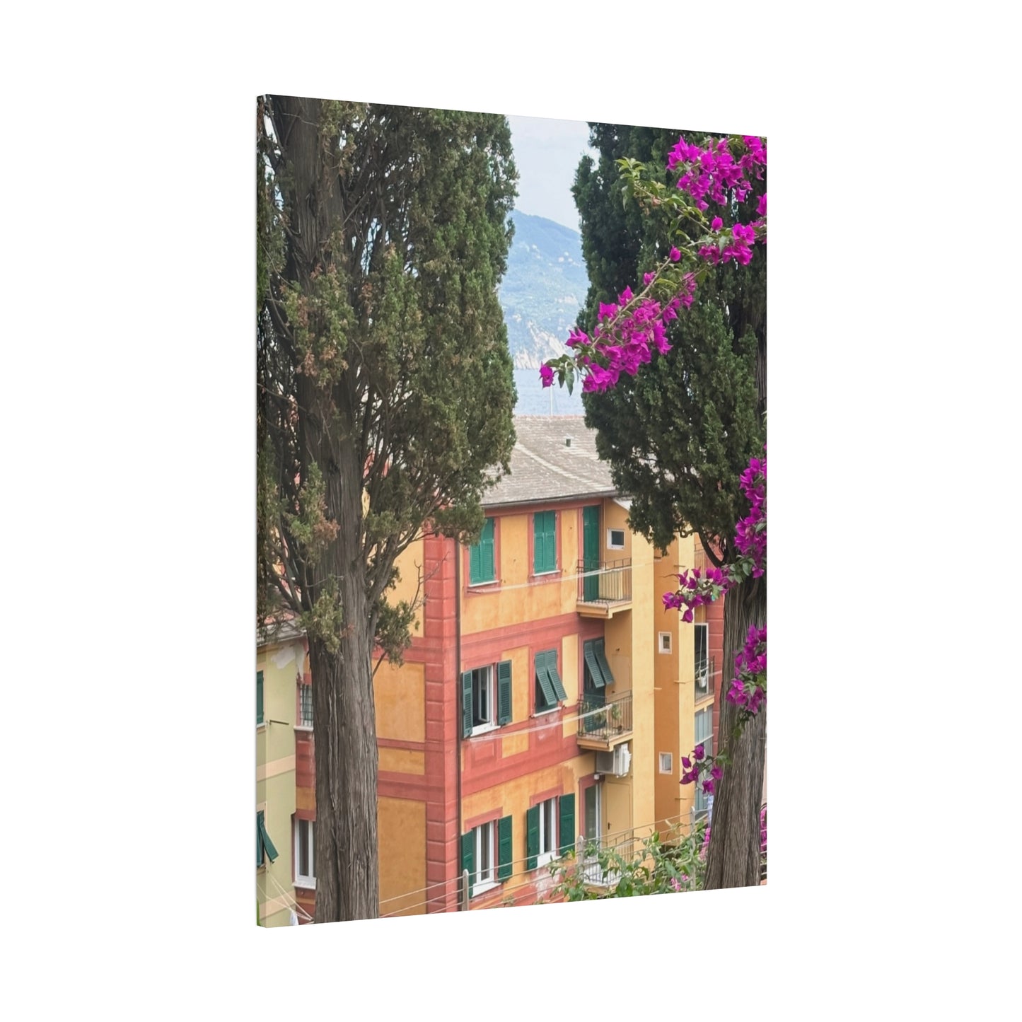 Italian Home and Country SideMatte Canvas Wall Art, Floral Home Decor, Artistic Stretched Canvas, Botanical Print, Modern Wall Decor