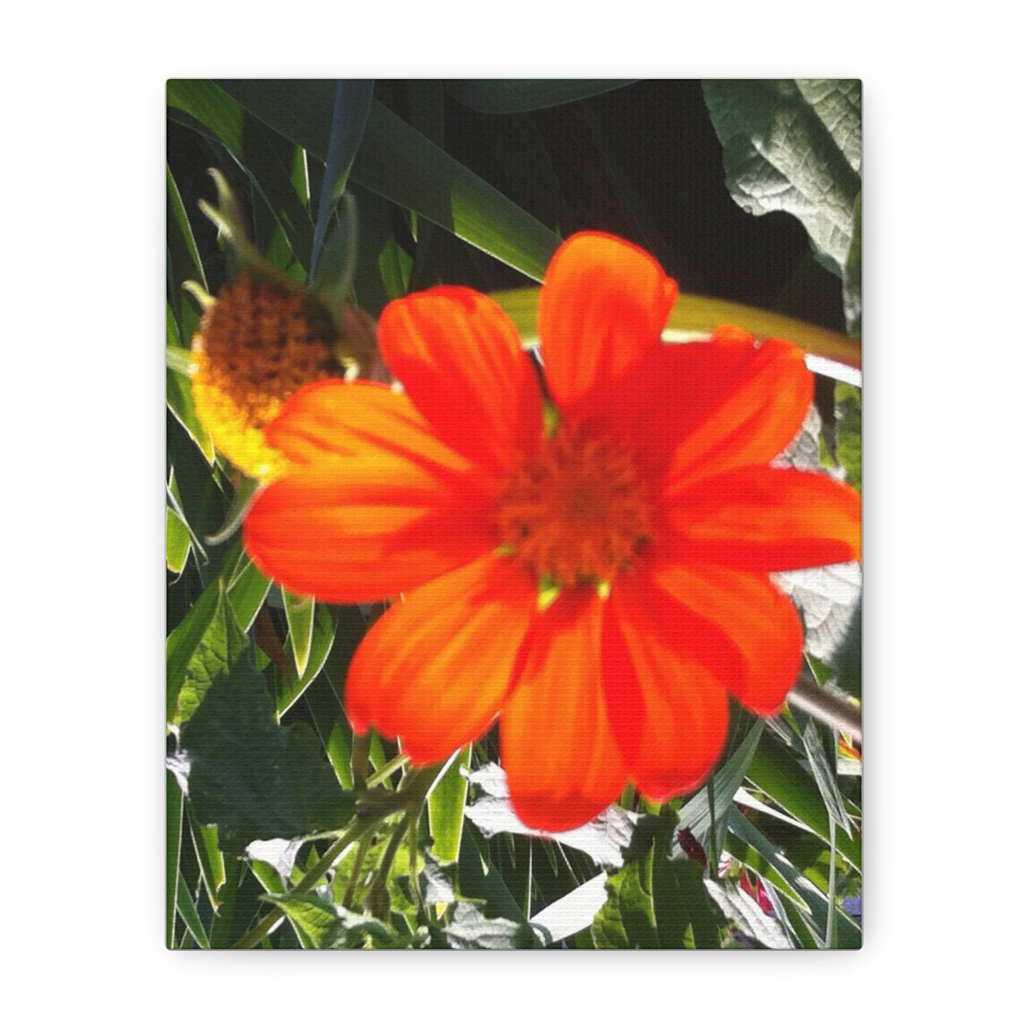 Vibrant Floral Canvas Art, Wall Decor, Gift for Garden Lovers, Bright Home Accent, Modern Art for Any Room