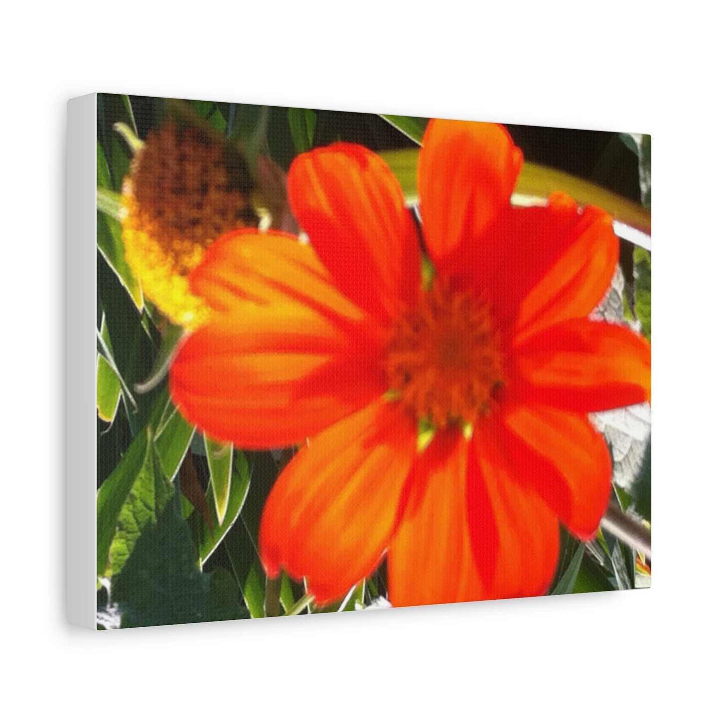 Vibrant Floral Canvas Art, Wall Decor, Gift for Garden Lovers, Bright Home Accent, Modern Art for Any Room