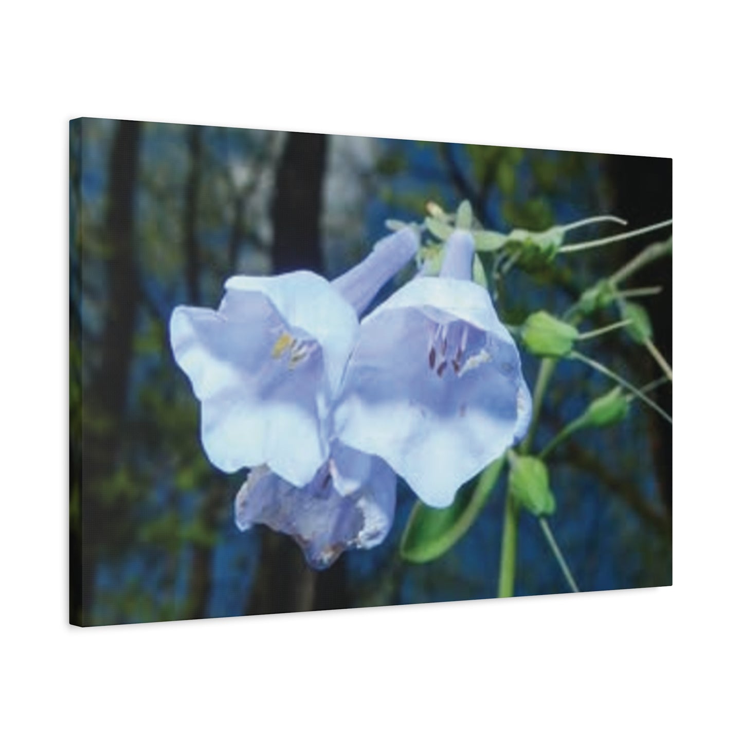 Floral Canvas Wall Art Print, Nature Decor, Gift for Flower Lovers, Home Decoration, Botanical Artwork