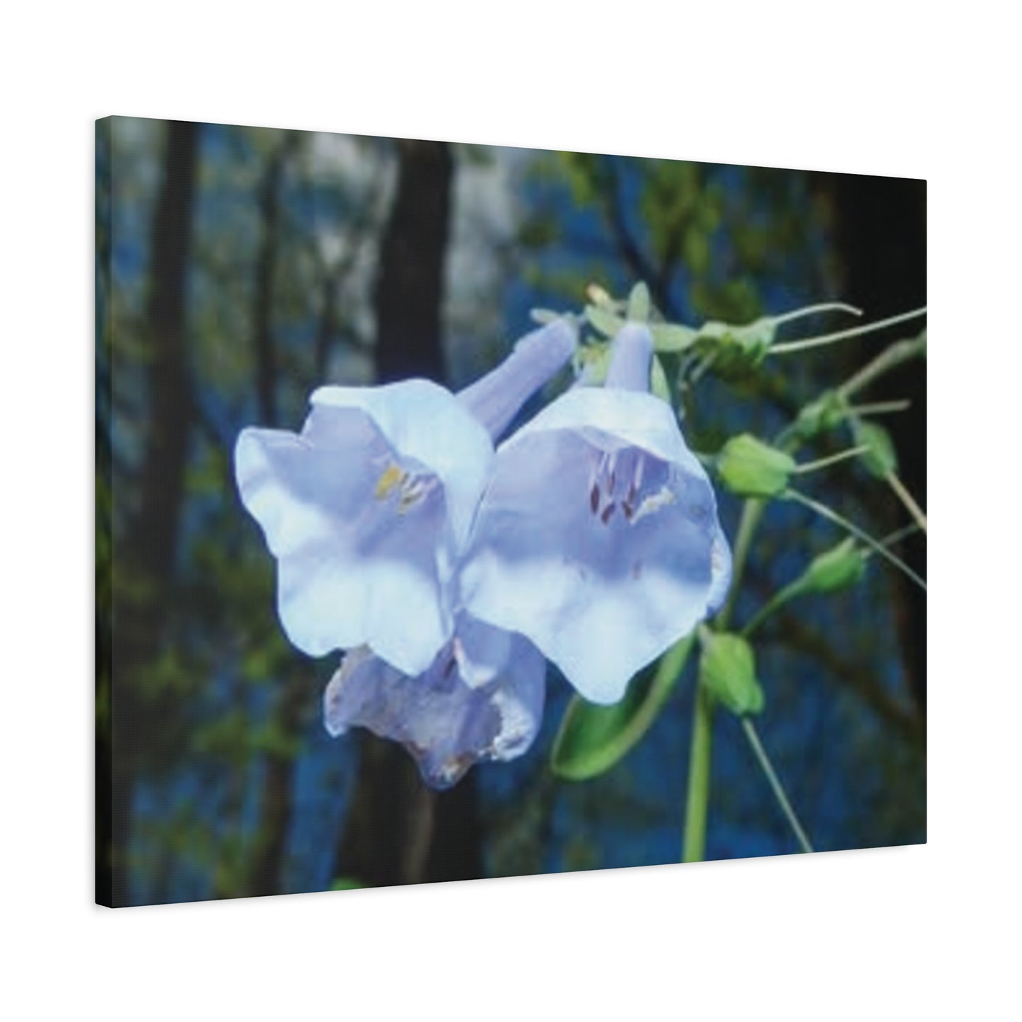 Floral Canvas Wall Art Print, Nature Decor, Gift for Flower Lovers, Home Decoration, Botanical Artwork