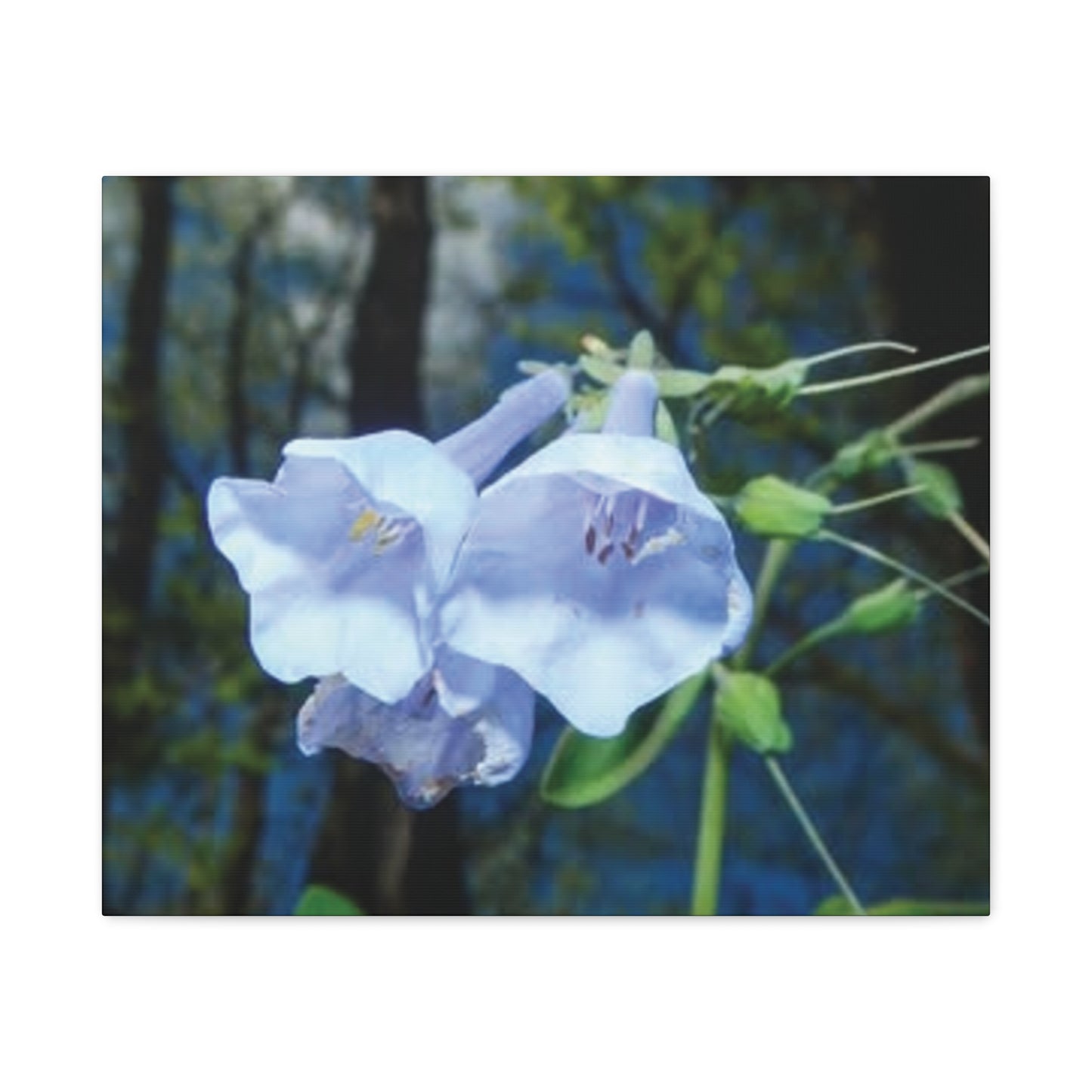 Floral Canvas Wall Art Print, Nature Decor, Gift for Flower Lovers, Home Decoration, Botanical Artwork