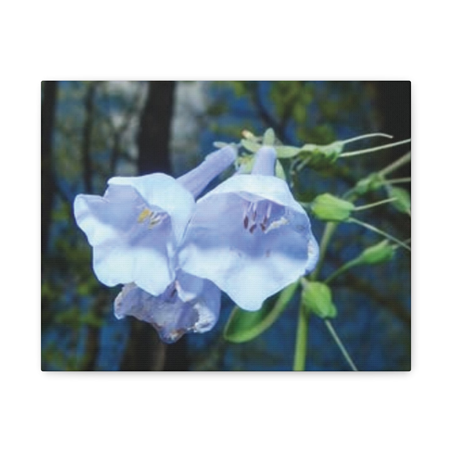 Floral Canvas Wall Art Print, Nature Decor, Gift for Flower Lovers, Home Decoration, Botanical Artwork