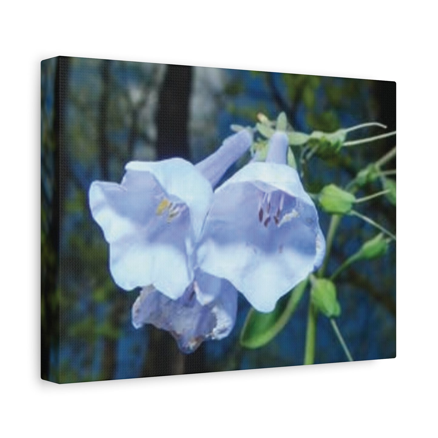Floral Canvas Wall Art Print, Nature Decor, Gift for Flower Lovers, Home Decoration, Botanical Artwork
