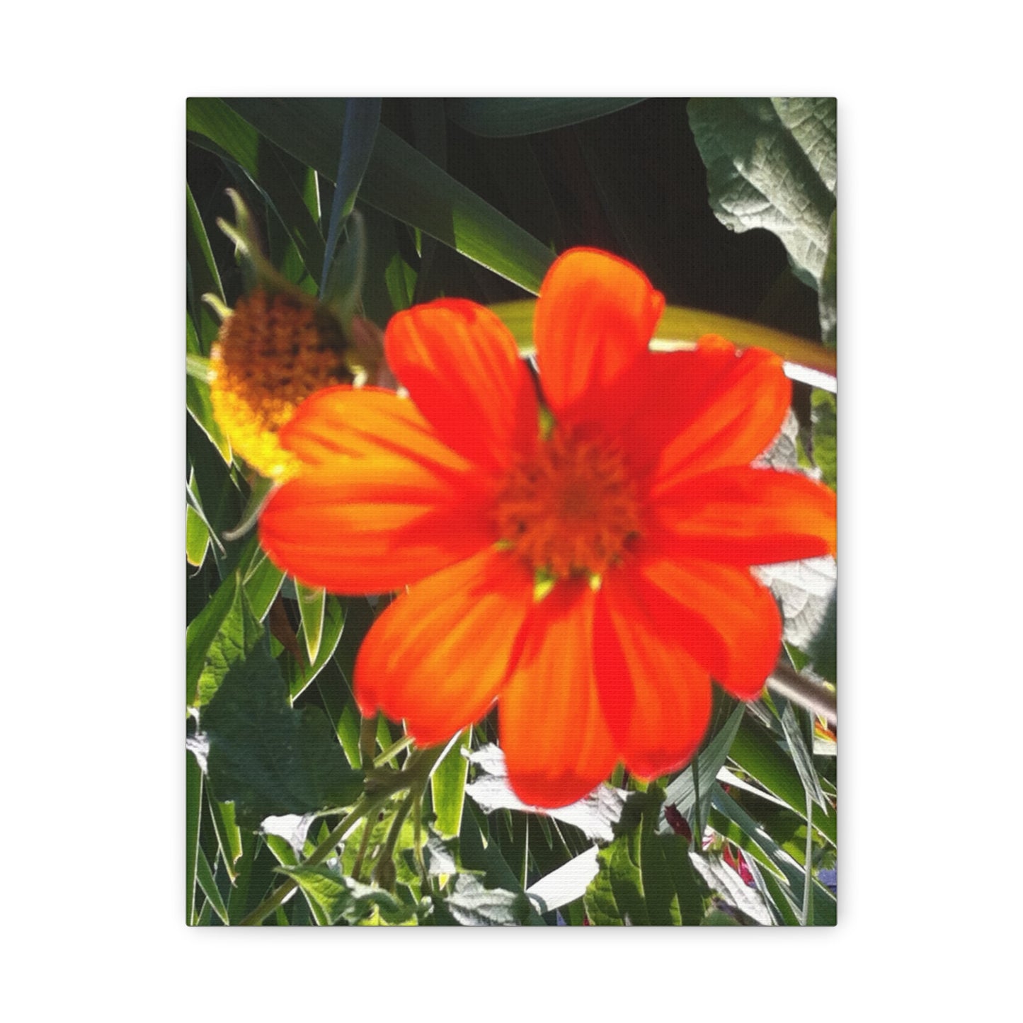 Vibrant Floral Canvas Art, Wall Decor, Gift for Garden Lovers, Bright Home Accent, Modern Art for Any Room