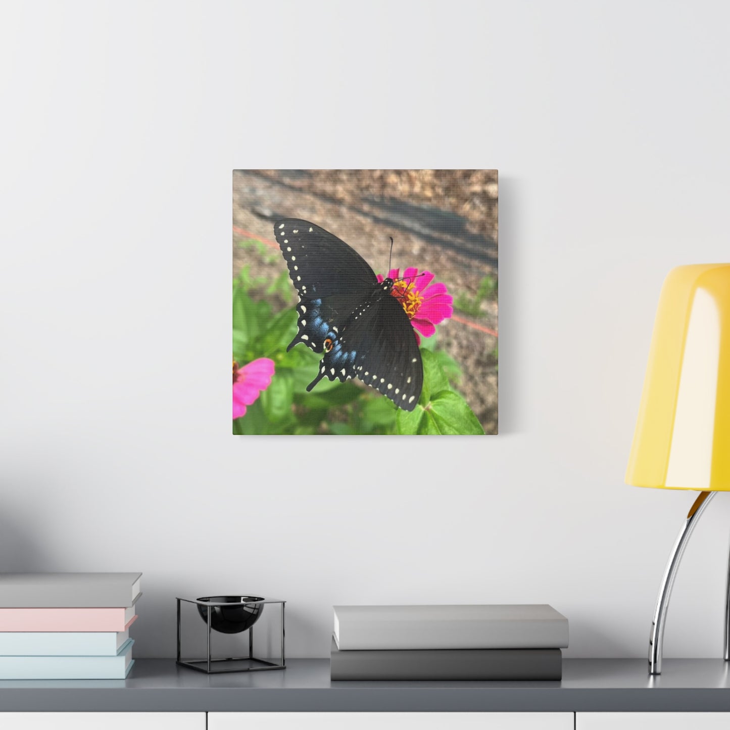 Black Butterfly Canvas Wall Art, Nature Decor, Botanical Print, Home Decor, Gift for Nature Lovers, Insect Photography