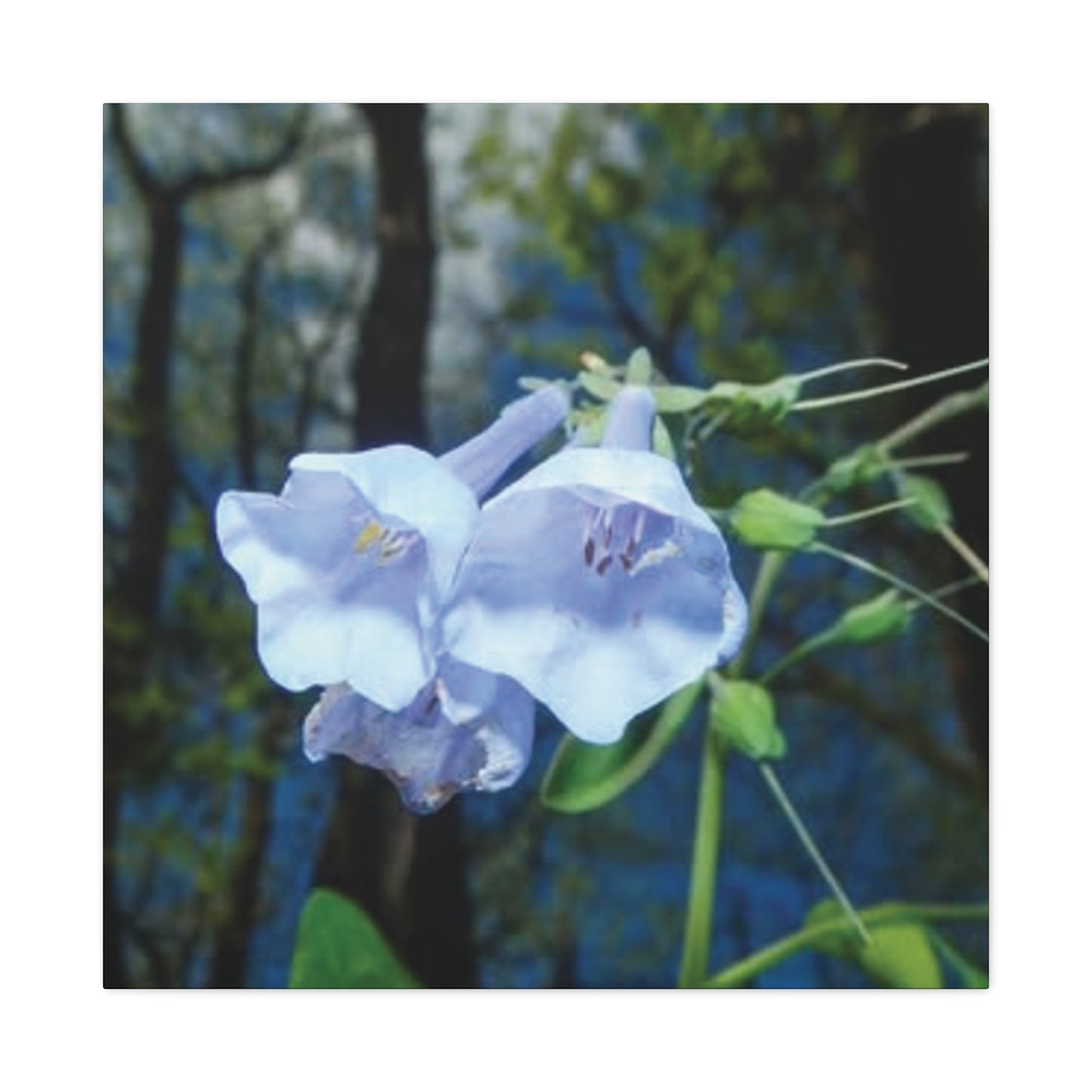 Floral Canvas Wall Art Print, Nature Decor, Gift for Flower Lovers, Home Decoration, Botanical Artwork