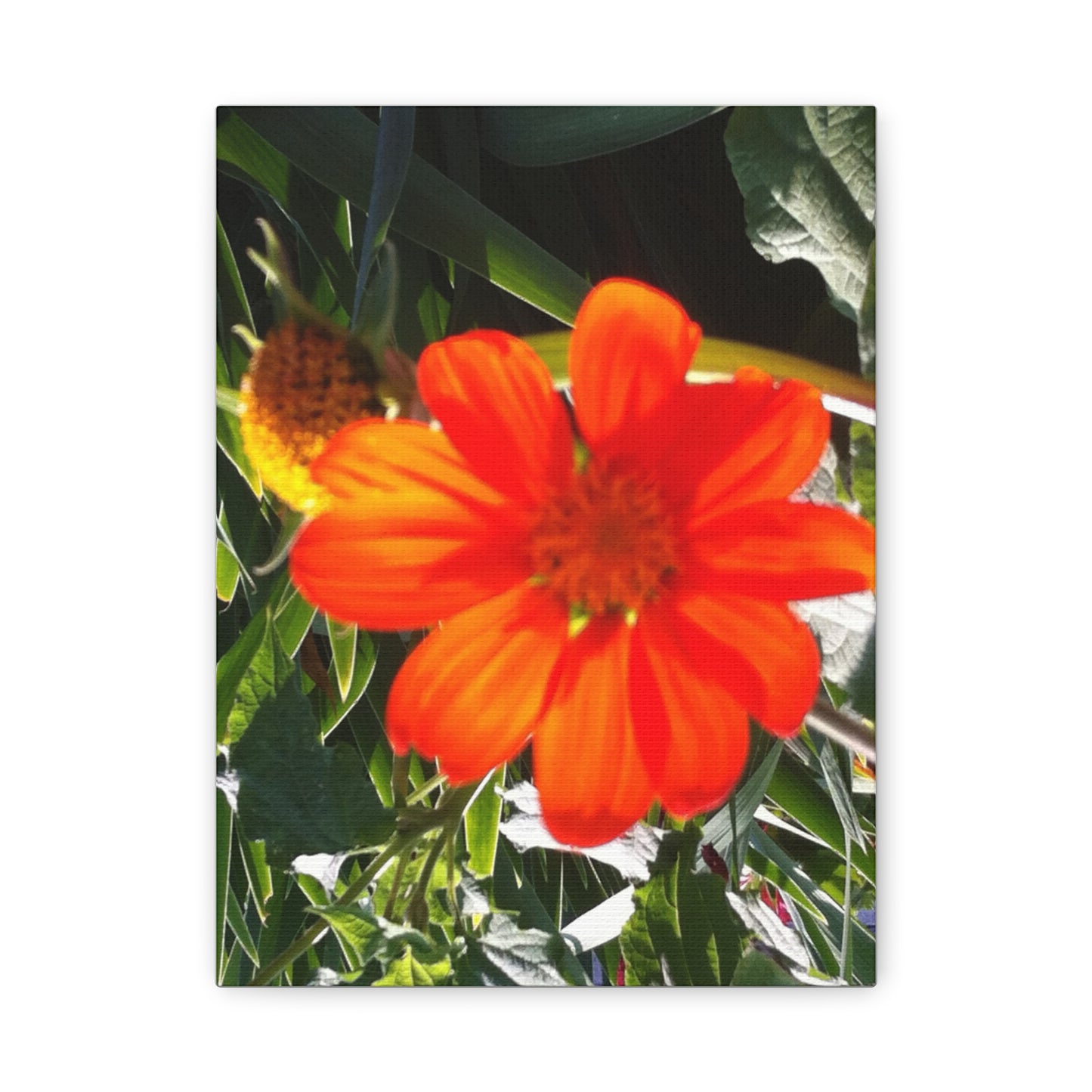 Vibrant Floral Canvas Art, Wall Decor, Gift for Garden Lovers, Bright Home Accent, Modern Art for Any Room