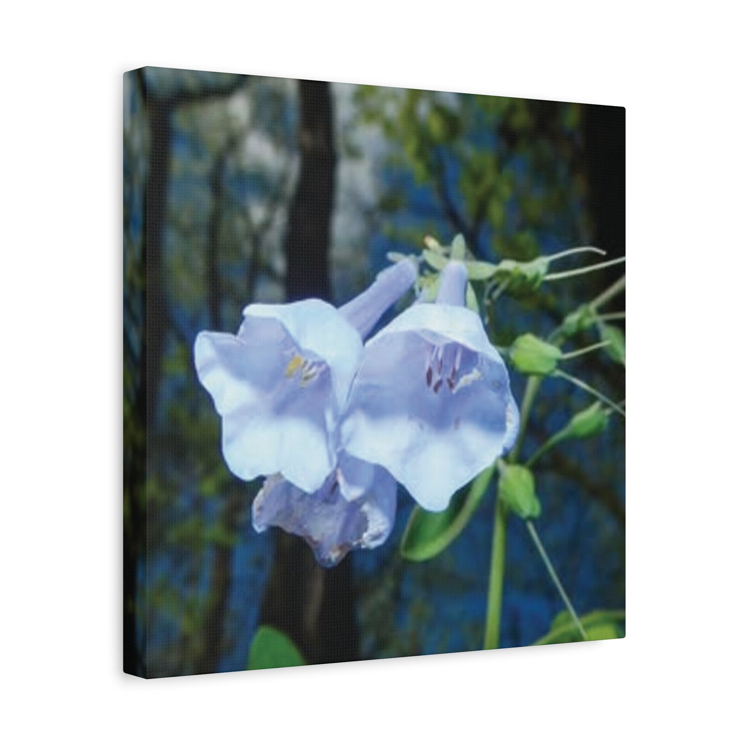 Floral Canvas Wall Art Print, Nature Decor, Gift for Flower Lovers, Home Decoration, Botanical Artwork