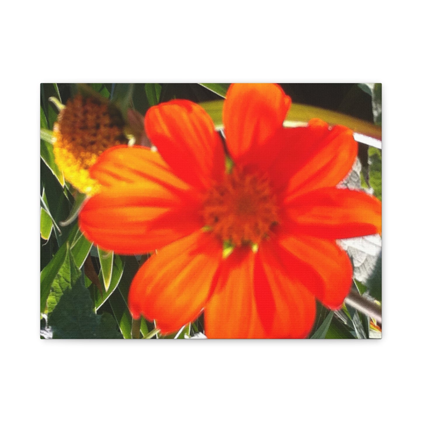 Vibrant Floral Canvas Art, Wall Decor, Gift for Garden Lovers, Bright Home Accent, Modern Art for Any Room