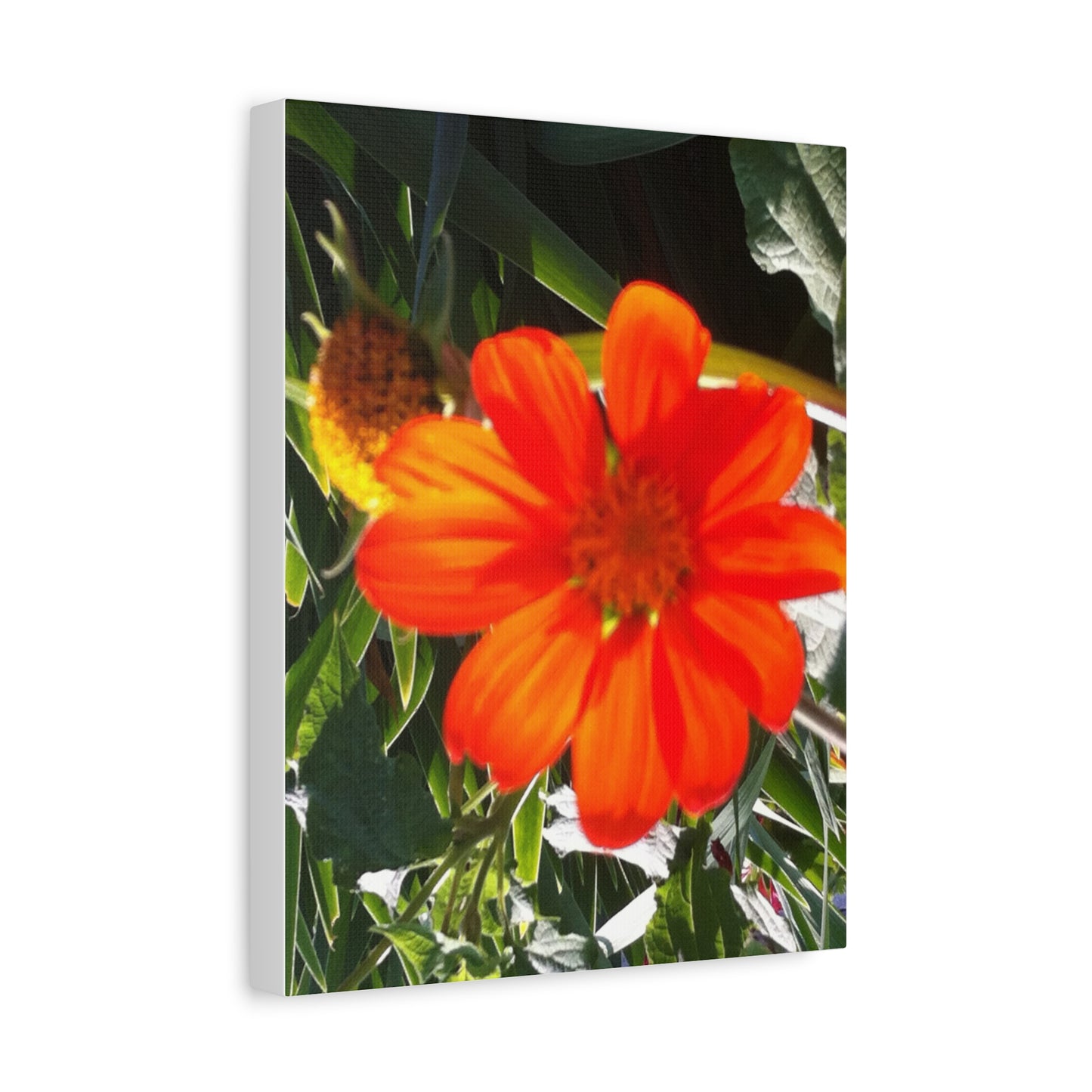 Vibrant Floral Canvas Art, Wall Decor, Gift for Garden Lovers, Bright Home Accent, Modern Art for Any Room
