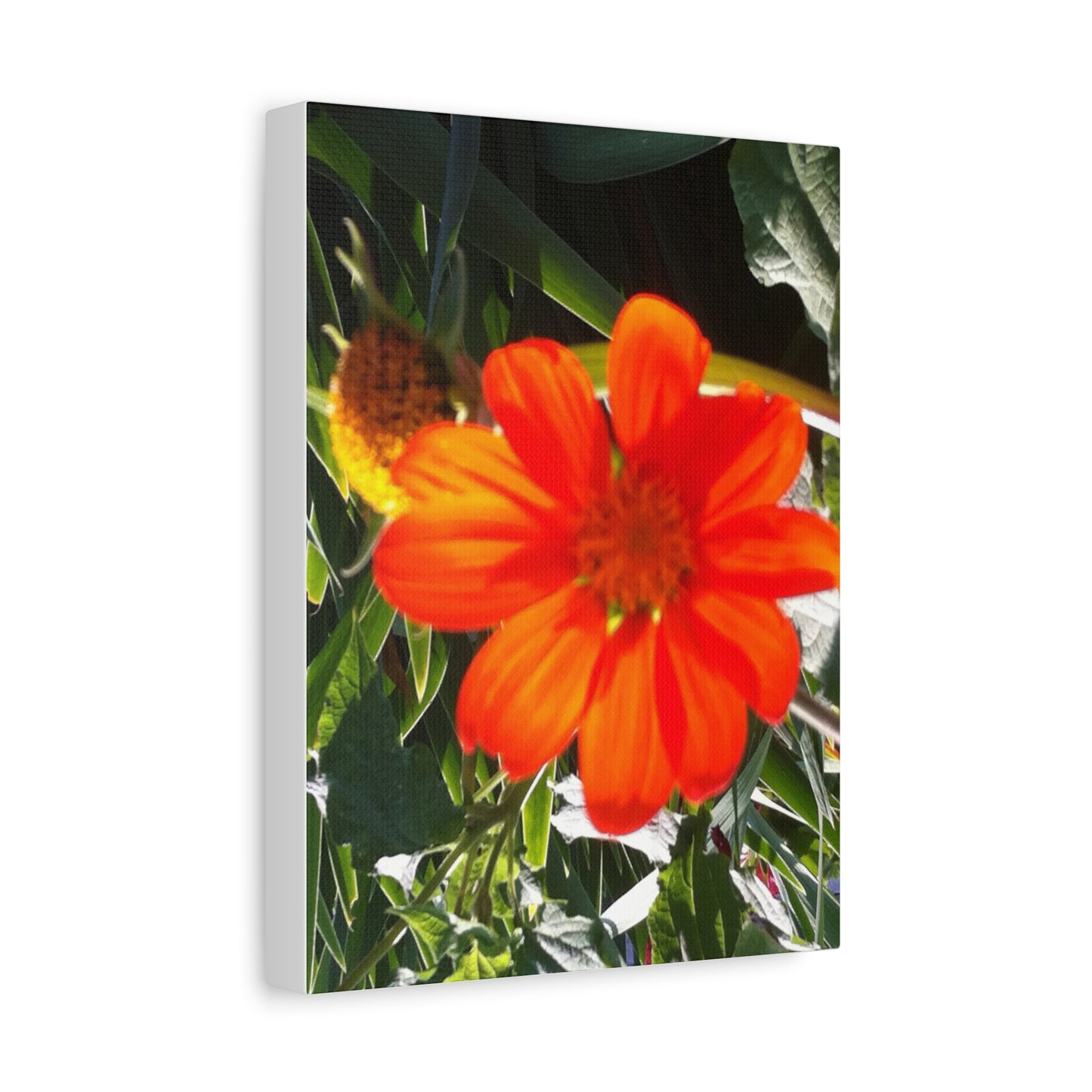 Vibrant Floral Canvas Art, Wall Decor, Gift for Garden Lovers, Bright Home Accent, Modern Art for Any Room