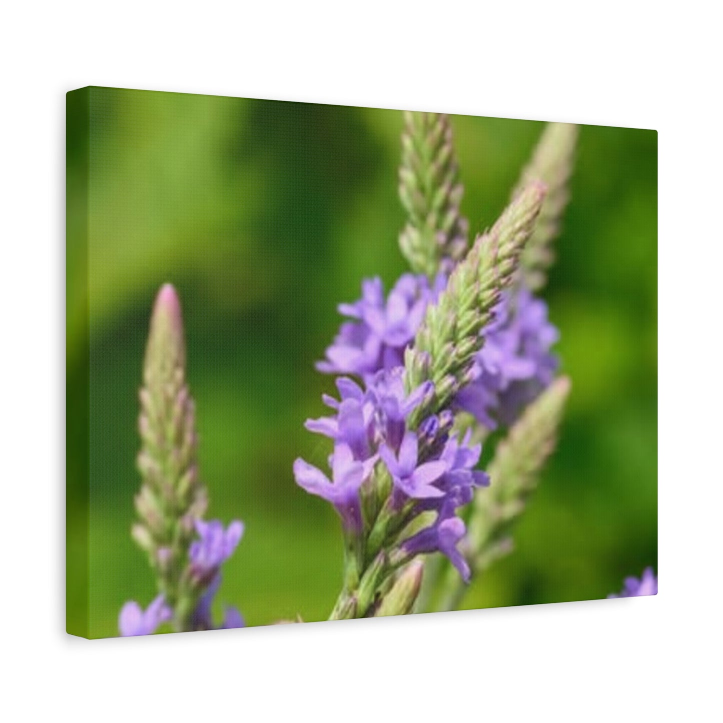 Floral Canvas Wall Art, Stretched Matte Canvas Print, Home Decor, Purple Flower Artwork, Nature-Inspired Decoration