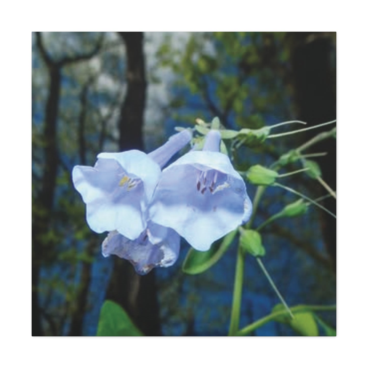 Floral Canvas Wall Art Print, Nature Decor, Gift for Flower Lovers, Home Decoration, Botanical Artwork