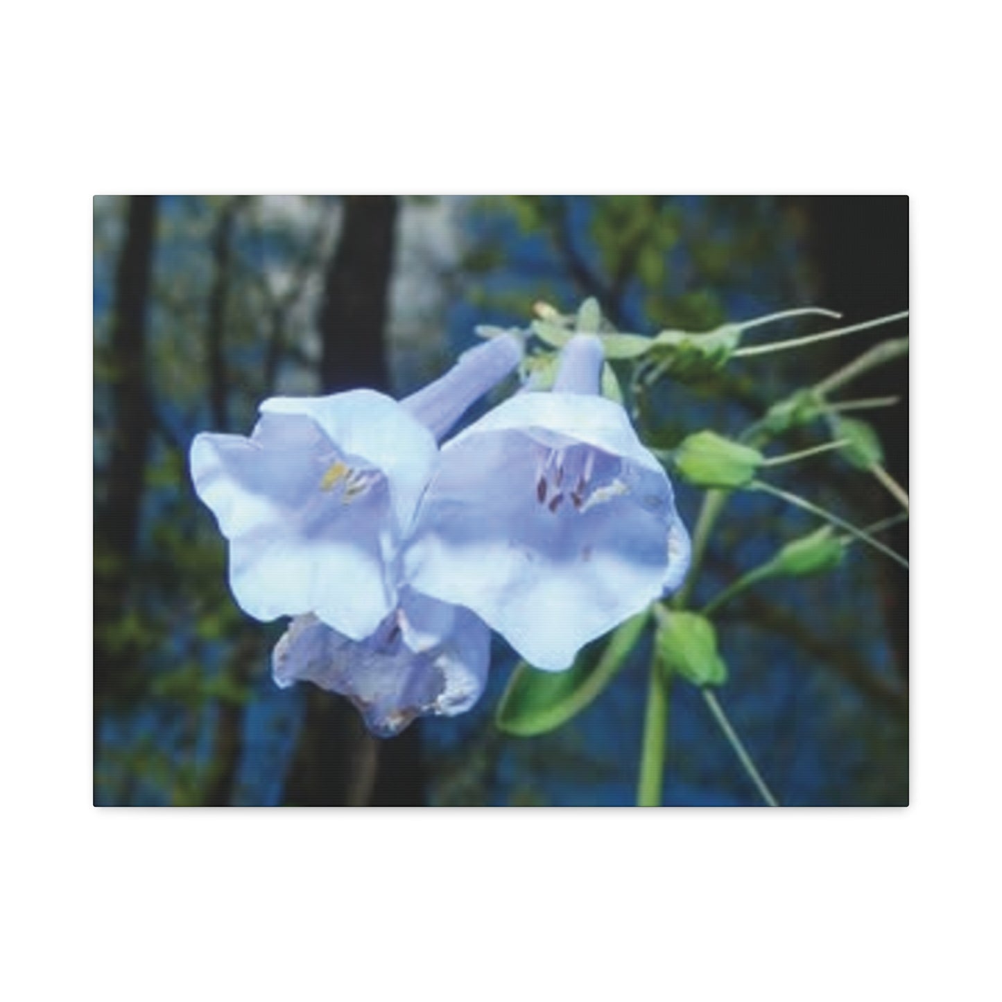 Floral Canvas Wall Art Print, Nature Decor, Gift for Flower Lovers, Home Decoration, Botanical Artwork