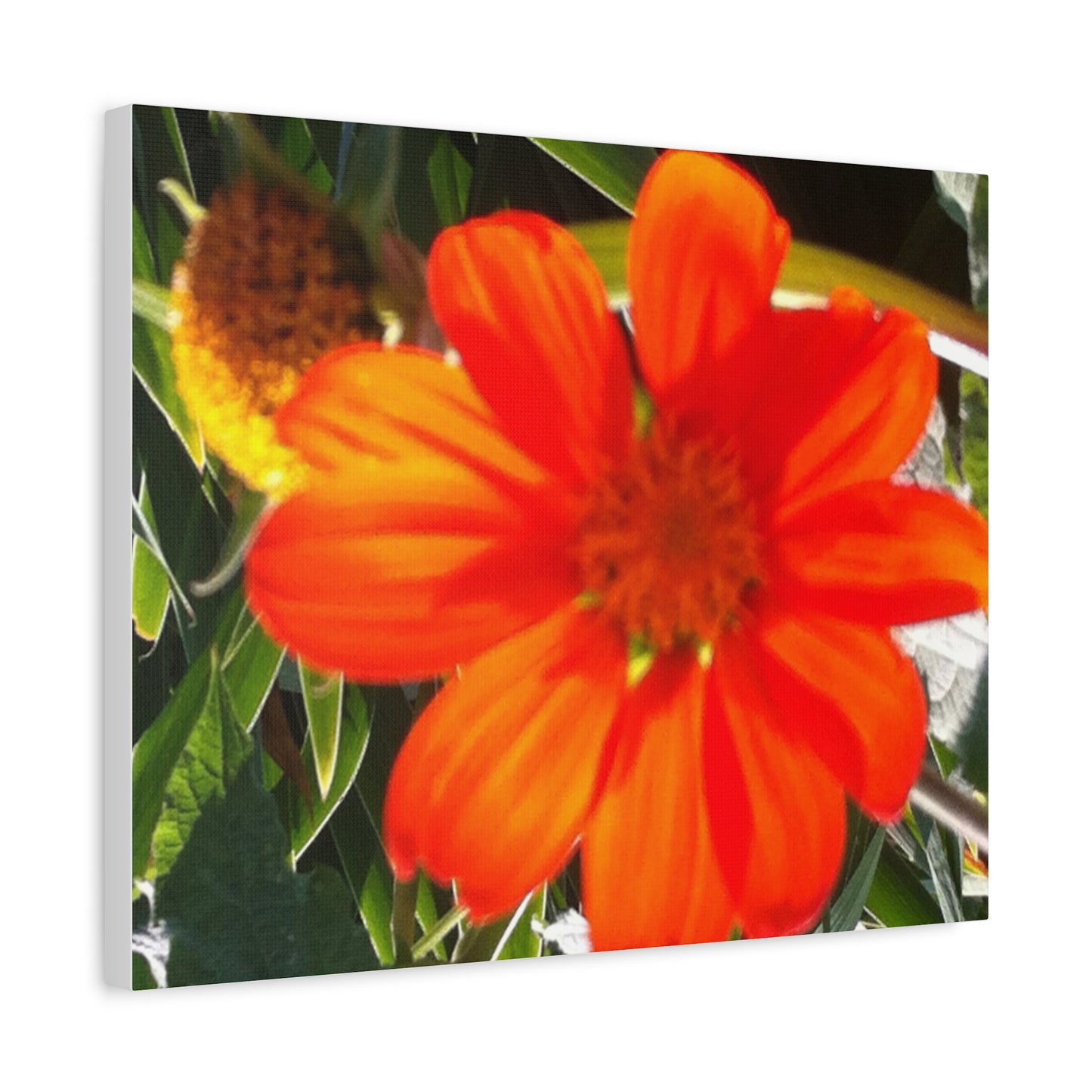 Vibrant Floral Canvas Art, Wall Decor, Gift for Garden Lovers, Bright Home Accent, Modern Art for Any Room