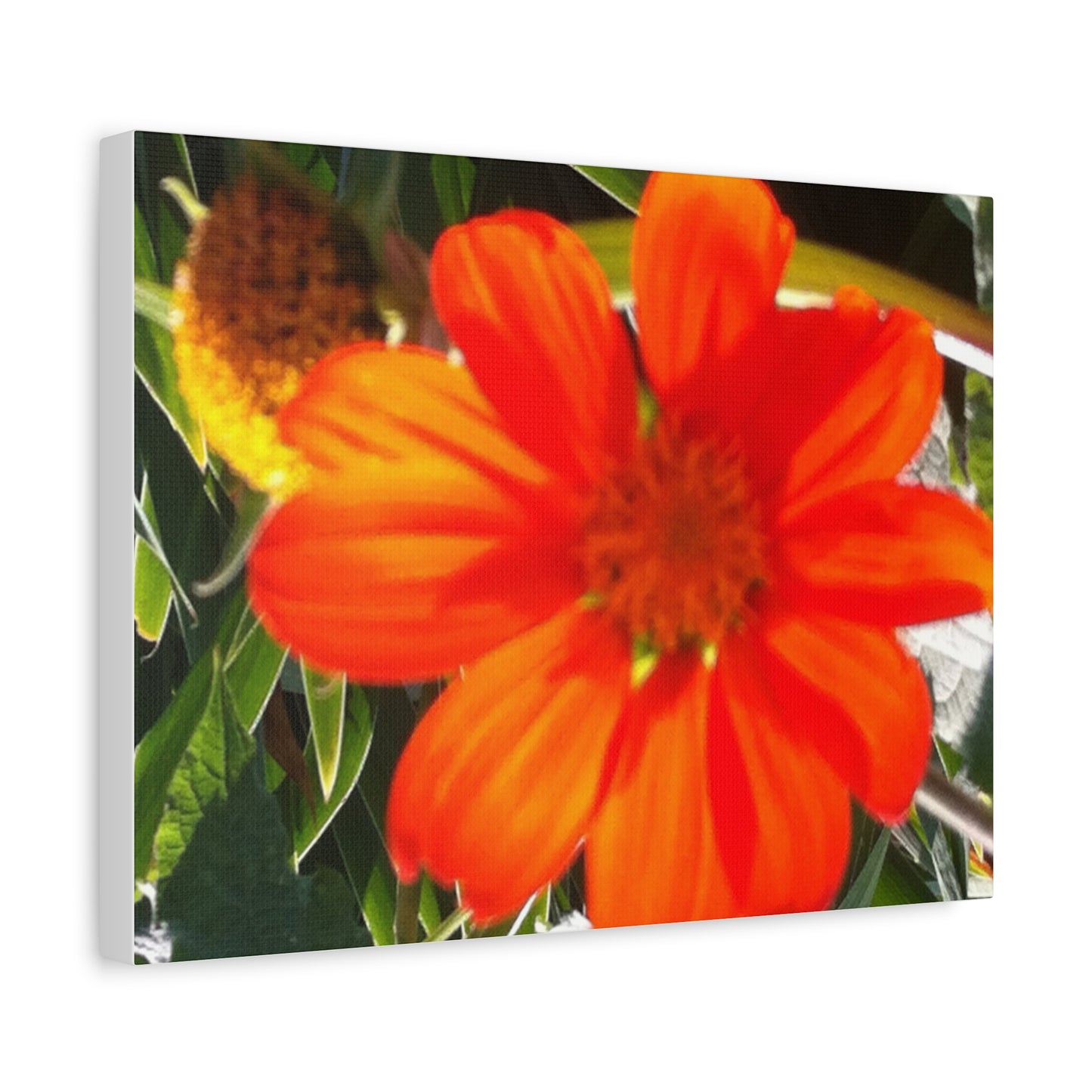 Vibrant Floral Canvas Art, Wall Decor, Gift for Garden Lovers, Bright Home Accent, Modern Art for Any Room