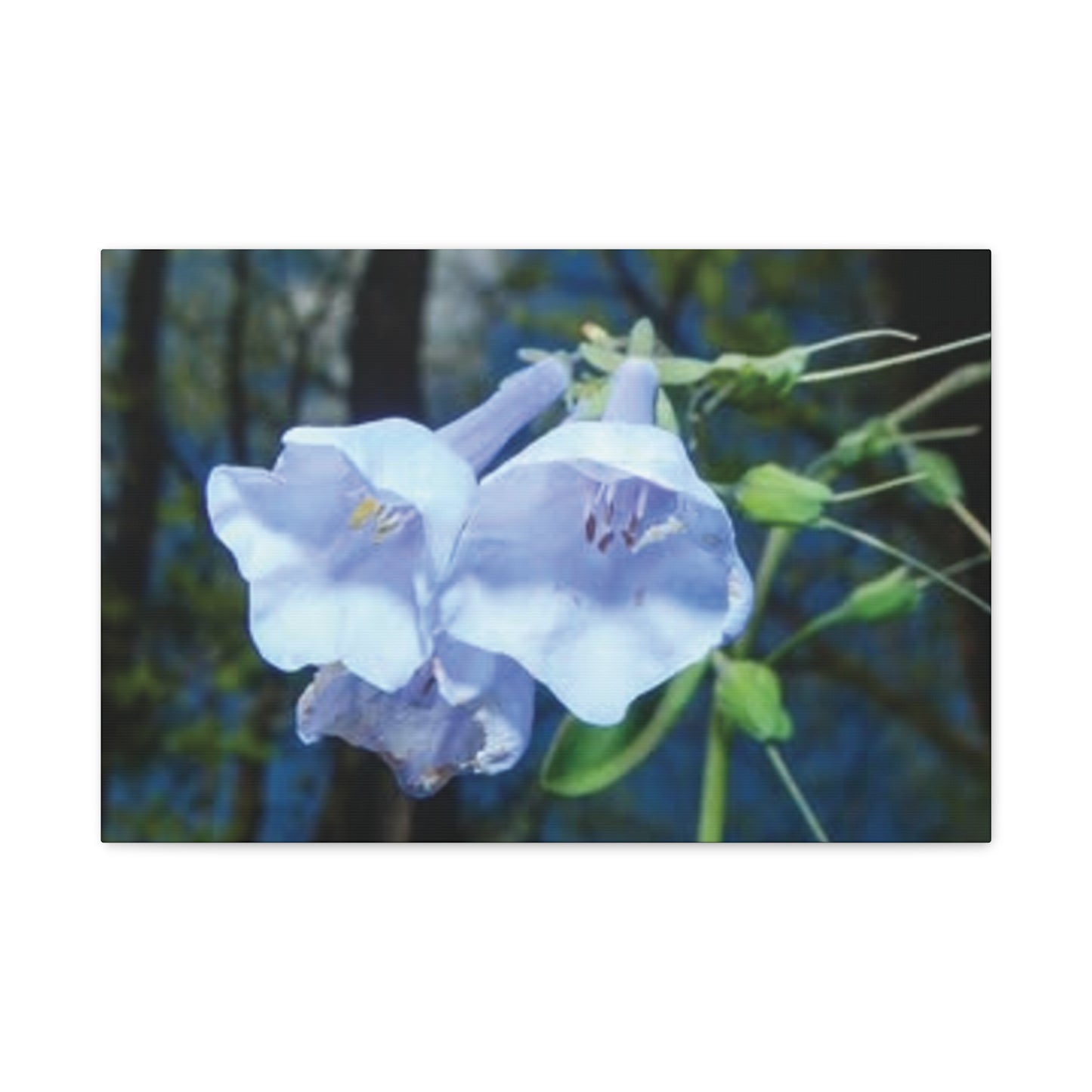 Floral Canvas Wall Art Print, Nature Decor, Gift for Flower Lovers, Home Decoration, Botanical Artwork