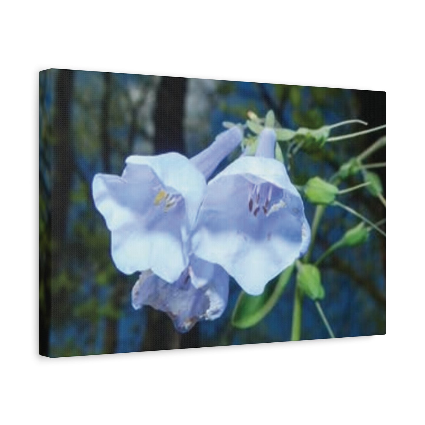 Floral Canvas Wall Art Print, Nature Decor, Gift for Flower Lovers, Home Decoration, Botanical Artwork