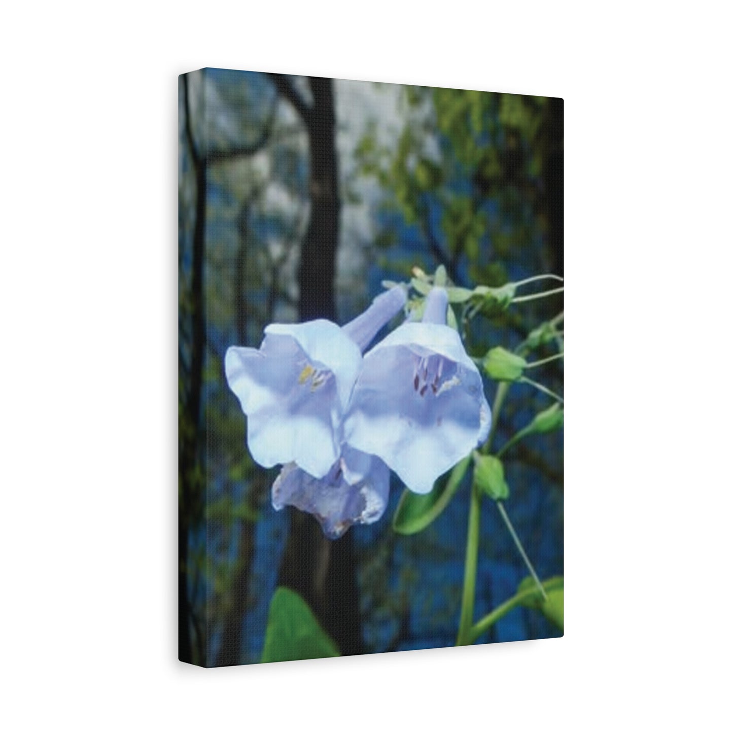 Floral Canvas Wall Art Print, Nature Decor, Gift for Flower Lovers, Home Decoration, Botanical Artwork