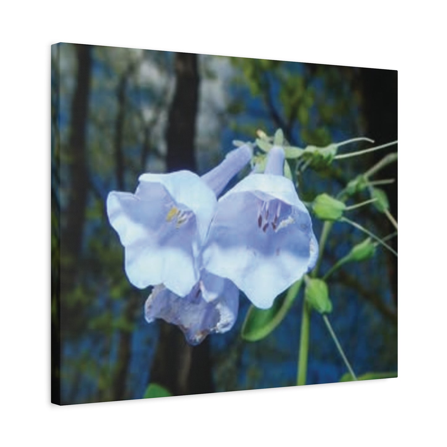 Floral Canvas Wall Art Print, Nature Decor, Gift for Flower Lovers, Home Decoration, Botanical Artwork