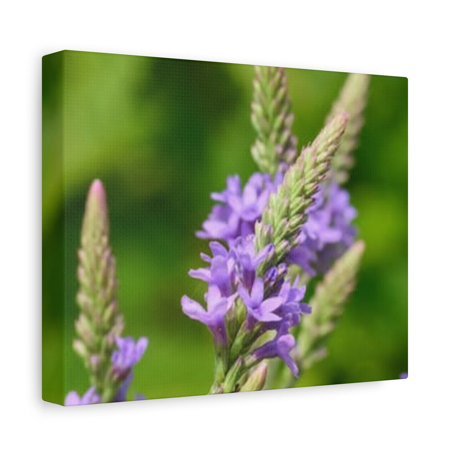 Floral Canvas Wall Art, Stretched Matte Canvas Print, Home Decor, Purple Flower Artwork, Nature-Inspired Decoration