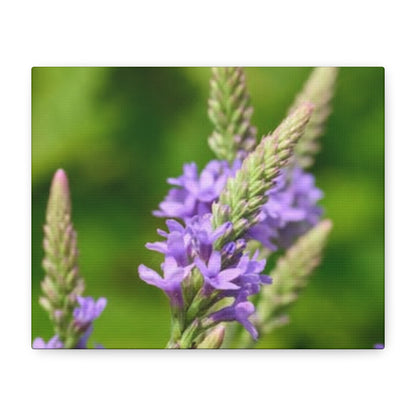 Floral Canvas Wall Art, Stretched Matte Canvas Print, Home Decor, Purple Flower Artwork, Nature-Inspired Decoration