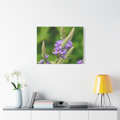 Floral Canvas Wall Art, Stretched Matte Canvas Print, Home Decor, Purple Flower Artwork, Nature-Inspired Decoration