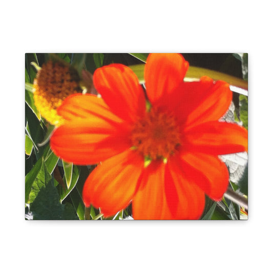 Vibrant Floral Canvas Art, Wall Decor, Gift for Garden Lovers, Bright Home Accent, Modern Art for Any Room