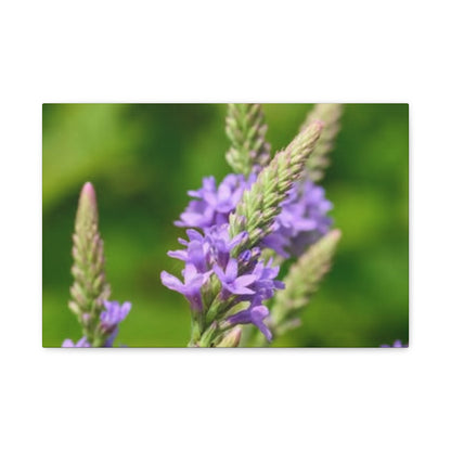 Floral Canvas Wall Art, Stretched Matte Canvas Print, Home Decor, Purple Flower Artwork, Nature-Inspired Decoration