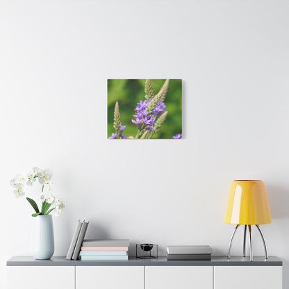 Floral Canvas Wall Art, Stretched Matte Canvas Print, Home Decor, Purple Flower Artwork, Nature-Inspired Decoration