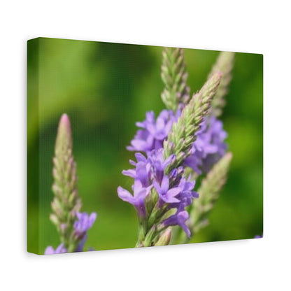 Floral Canvas Wall Art, Stretched Matte Canvas Print, Home Decor, Purple Flower Artwork, Nature-Inspired Decoration