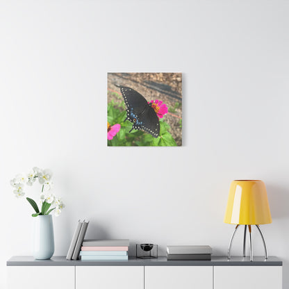 Black Butterfly Canvas Wall Art, Nature Decor, Botanical Print, Home Decor, Gift for Nature Lovers, Insect Photography