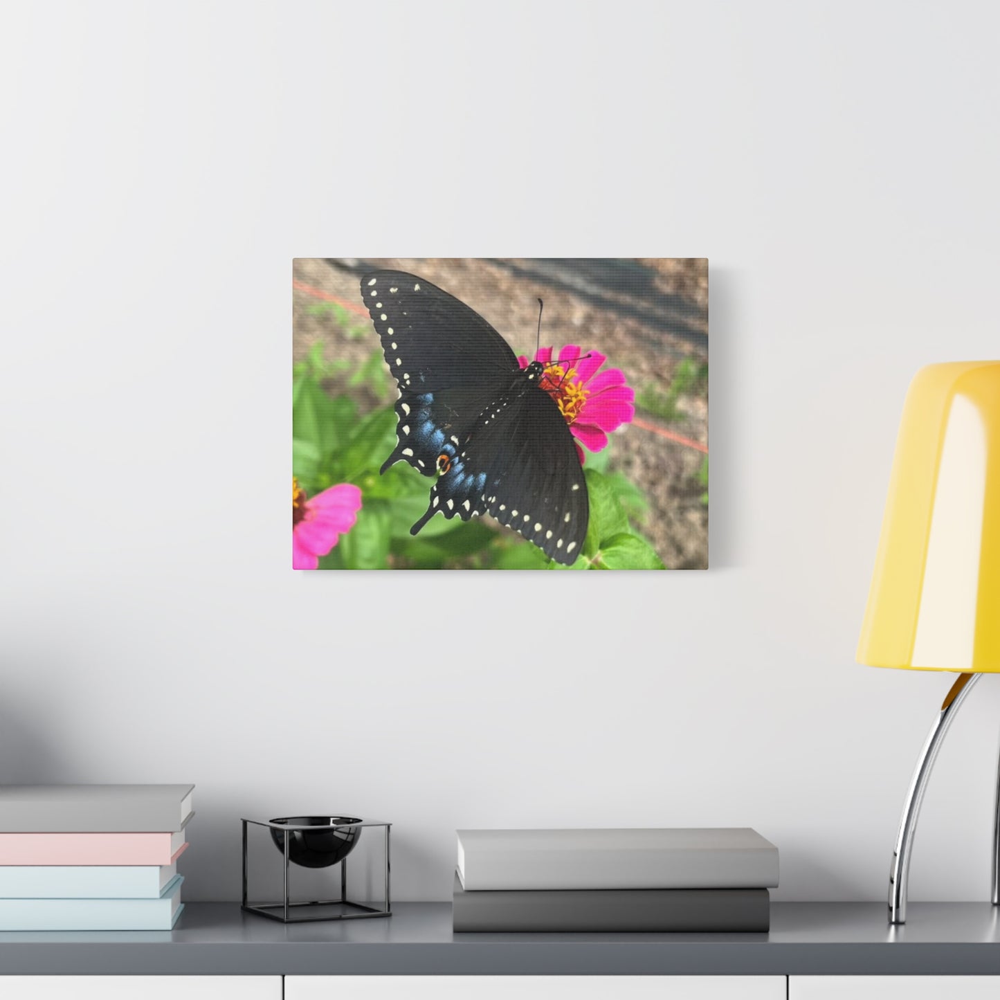 Black Butterfly Canvas Wall Art, Nature Decor, Botanical Print, Home Decor, Gift for Nature Lovers, Insect Photography