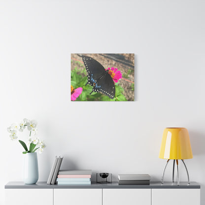Black Butterfly Canvas Wall Art, Nature Decor, Botanical Print, Home Decor, Gift for Nature Lovers, Insect Photography
