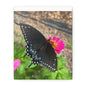 Black Butterfly Canvas Wall Art, Nature Decor, Botanical Print, Home Decor, Gift for Nature Lovers, Insect Photography